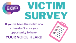 Victim Survey Image